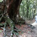 Frühstückspension Al Castagno