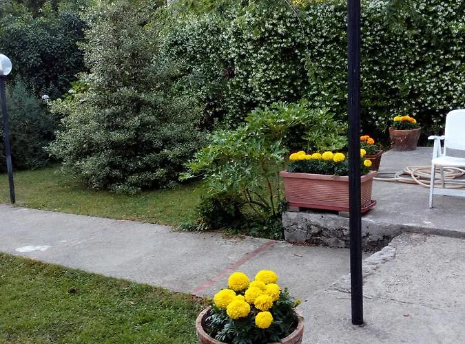 阿尔卡斯塔尼奥住宿加早餐旅馆 住宿加早餐酒店 维克艾库塞