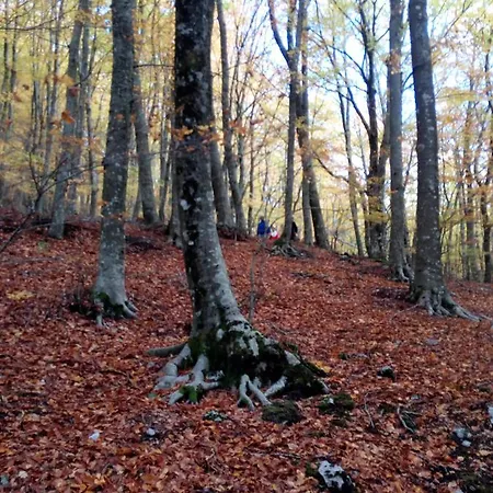 Bed & Breakfast Al Castagno *