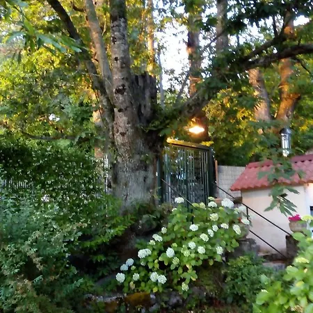 Al Castagno 3* Vico Equense