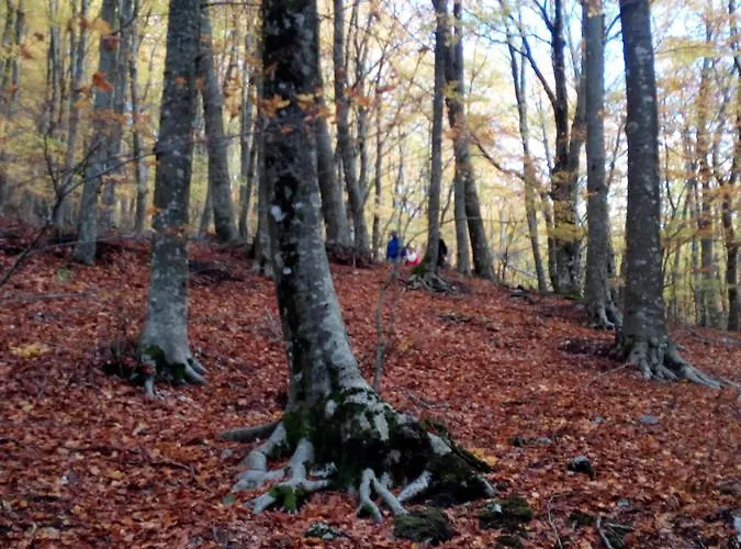 Bed & Breakfast Al Castagno 3*